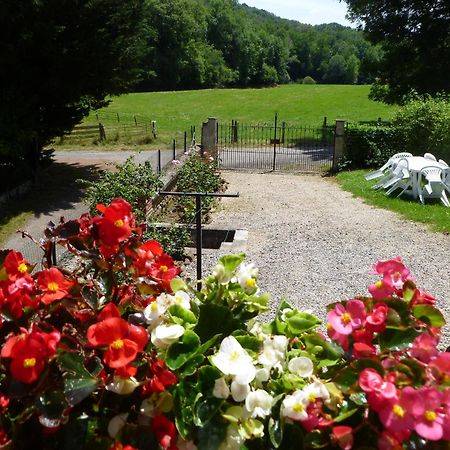 Gite Le Moulin Pres De Tarbes, Lourdes, Bagneres De Bigorre Mascaras Exterior photo